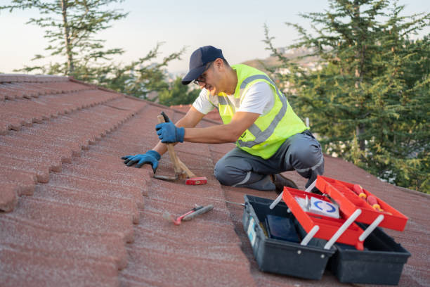 Roof Waterproofing Services in Nicholson, MS